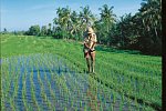 Abenteuer Westbali & Ostjava (Privatreise)
