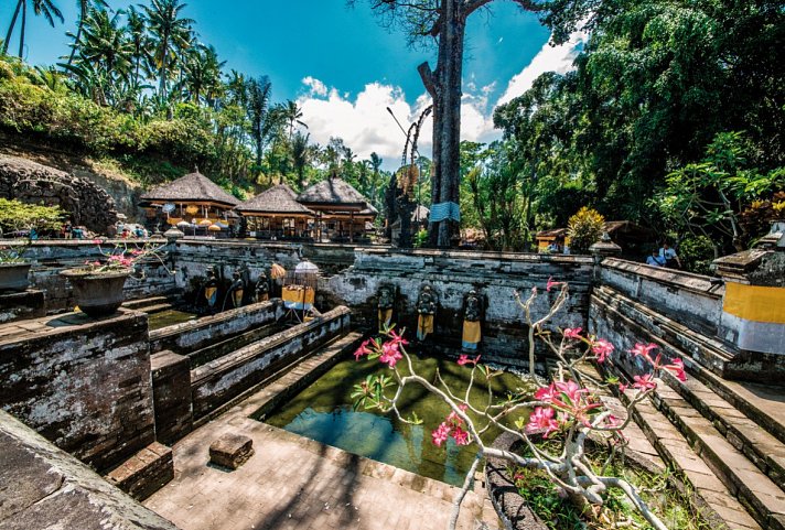 Bali komplett (Privatreise) - Goa Gajah Tempel, Ubud
