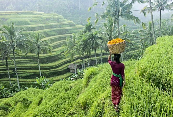 Bali komplett (Privatreise)