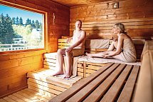 Best Western Ahorn Hotel Oberwiesenthal