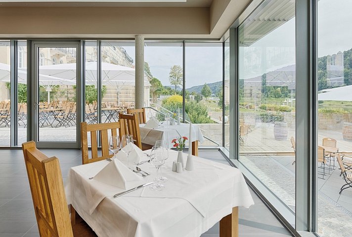 Hotel Elbresidenz an der Therme Bad Schandau