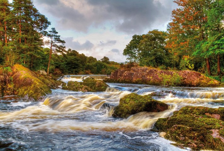 Höhepunkte rund um Killarney plus - Killarney Nationalpark