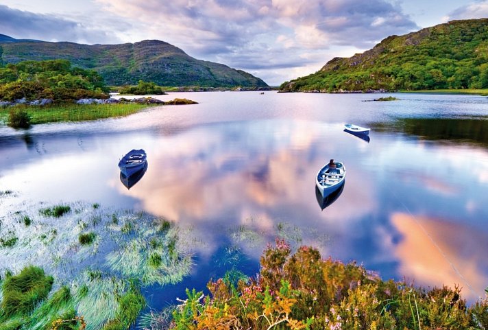 Irland für Einsteiger - Killarney Nationalpark