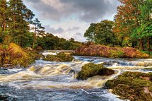 Entlang der Höhepunkte Irlands - Killarney Nationalpark