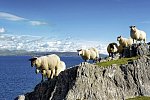 Entlang der Höhepunkte Irlands