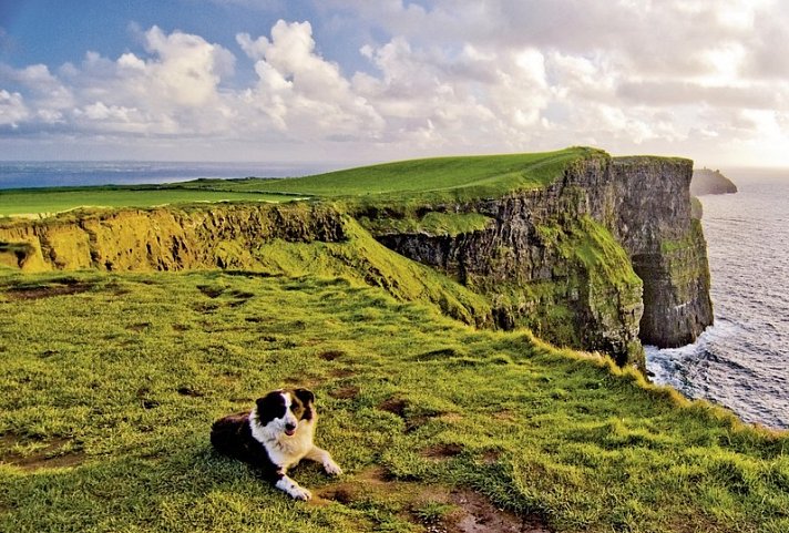 Irische Highlights - Cliffs of Moher