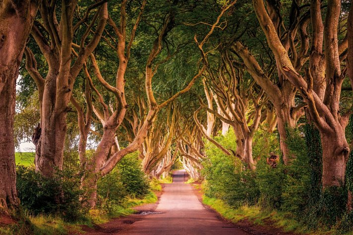Filmreifes Irland