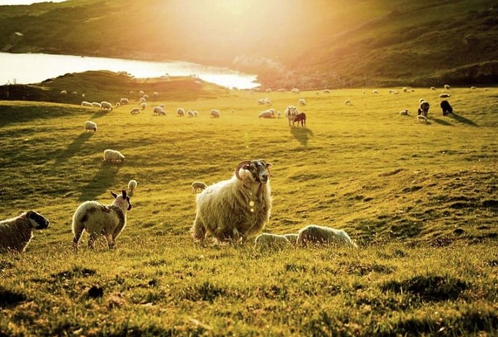 Naturschönheiten Irlands - Connemara