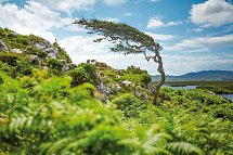 Naturschönheiten Irlands - Connemara Nationalpark