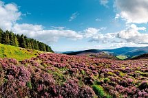 Naturschönheiten Irlands - Wicklow Mountains