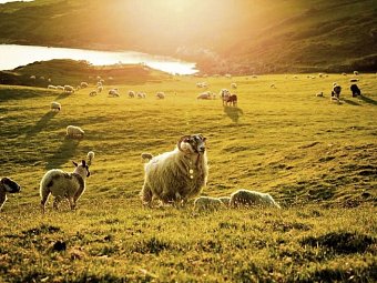 Naturschönheiten Irlands - Connemara