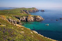 Familienerlebnistour Irland - Saltee Islands