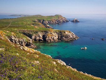 Familienerlebnistour Irland - Saltee Islands
