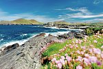 Irland kulinarisch