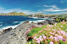 Irland kulinarisch - Ring of Kerry