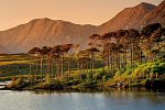 Irland kulinarisch