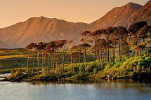 Irland kulinarisch - Twelve Pines Island, Connemara Nationalpark