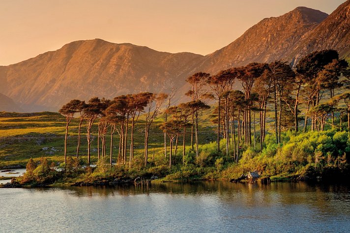 Irland kulinarisch