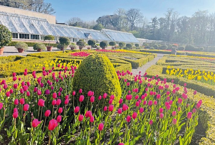 Irlands Gartenträume - Muckross House and Gardens
