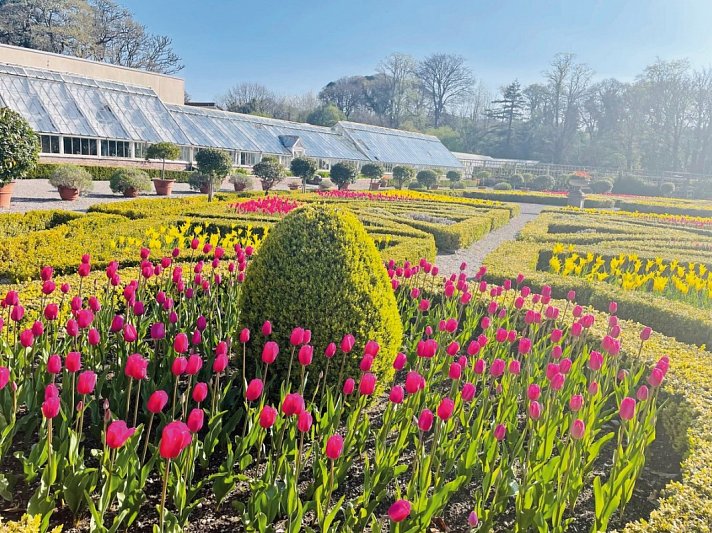 Irlands Gartenträume