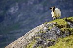 Bahnerlebnisreise Irlands Südwesten