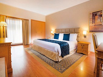 Millennium Plaza Downtown Hotel - Wohnbeispiel Standard Room (Zimmercodierung DB1)