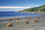 Bahnerlebnisreise Schottland