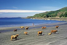 Bahnerlebnisreise Schottland - Loch Tuath, Isle of Mull