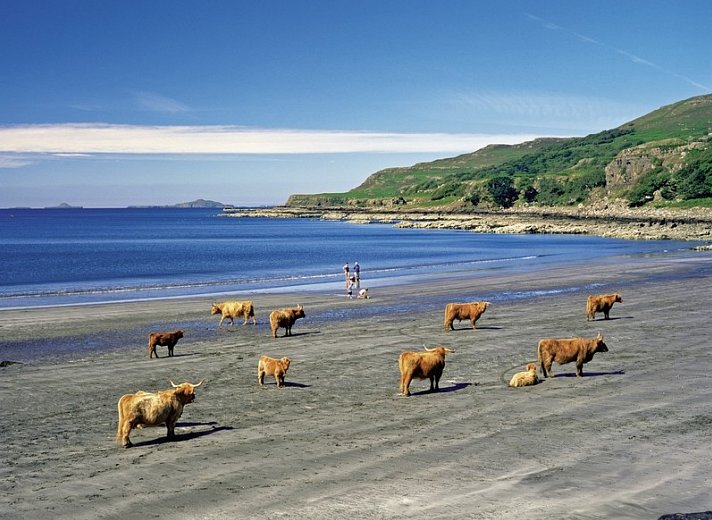 Bahnerlebnisreise Schottland