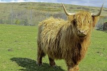 Schottlands klassische Rundreise - Städte, Highlands und die Insel Skye