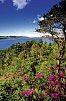 Schottlands klassische Rundreise - Städte, Highlands und die Insel Skye