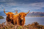 Stippvisite Schottland