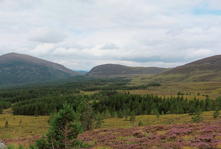 Schottland im Rampenlicht inkl. Norden 11 Nächte - Cairngorm Nationalpark