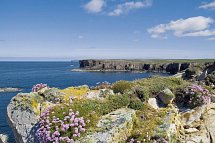 Schottlands faszinierender Inseltraum - Orkney Inseln