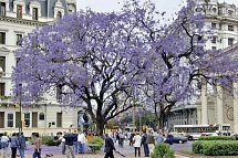 Argentinien auf einen Blick - Buenos Aires, Argentinien