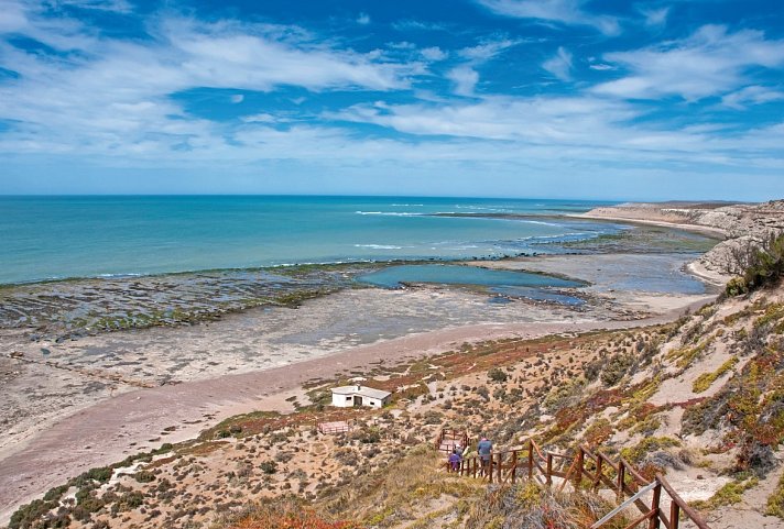 Gletscher, Pampa & Metropolen - Halbinsel Valdés