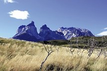 Gletscher, Pampa & Metropolen - Torres del Paine