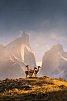 Gletscher, Pampa & Metropolen