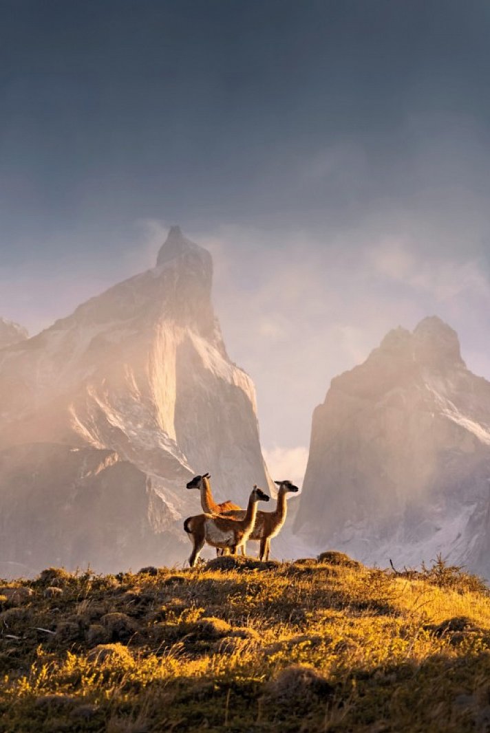 Gletscher, Pampa & Metropolen