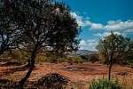 Die Highlights der Algarve erwandern