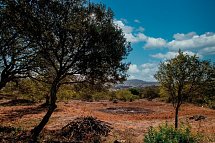 Die Highlights der Algarve erwandern