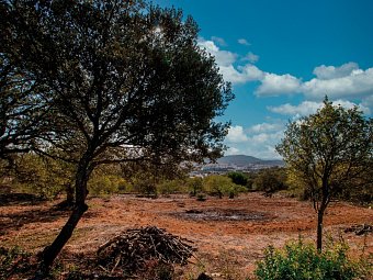 Die Highlights der Algarve erwandern