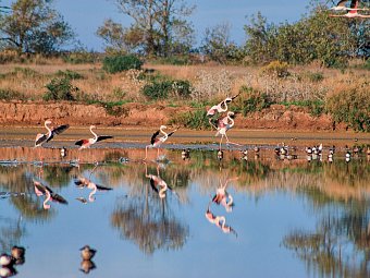 Die Highlights der Algarve erwandern