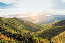Portugal – Land der reizvollen Kontraste (10 Nächte, inkl. Mietwagen, ab Faro) - Douro-Tal