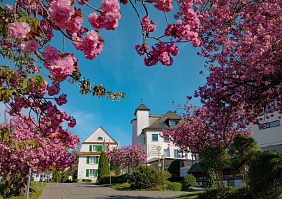 Parkhotel St. Leonhard Überlingen