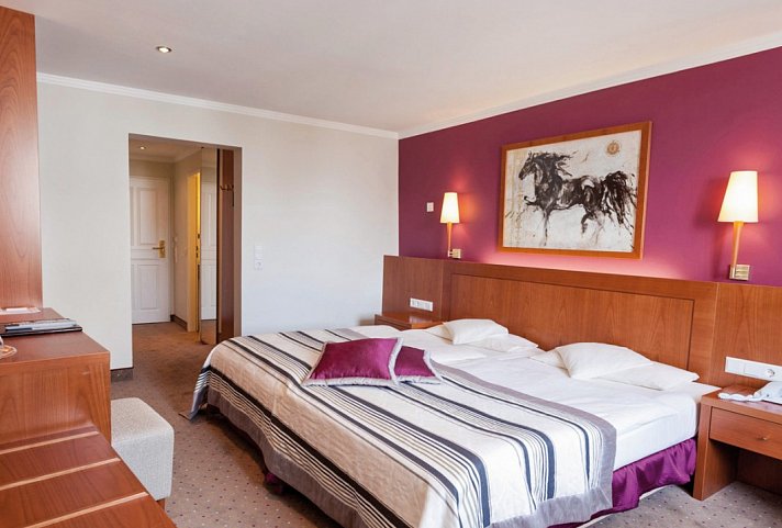 Hotel Lindauer Hof - Wohnbeispiel Doppelzimmer Standard (Zimmercodierung DG1)