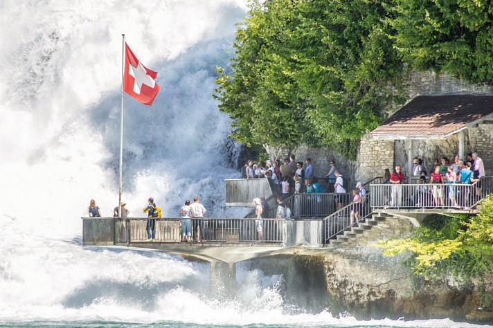 Bodensee - Genussradeln der Extraklasse
