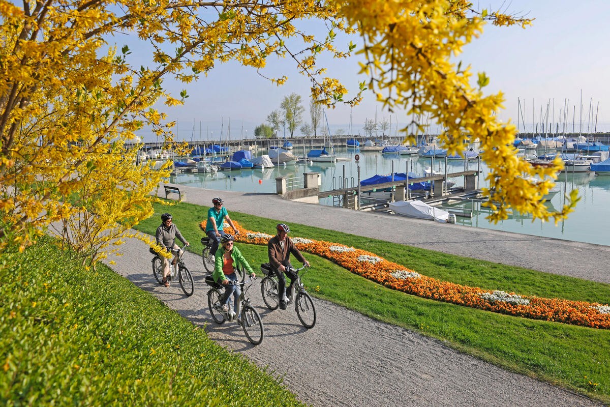 Bodensee-Radweg - Das Schönste