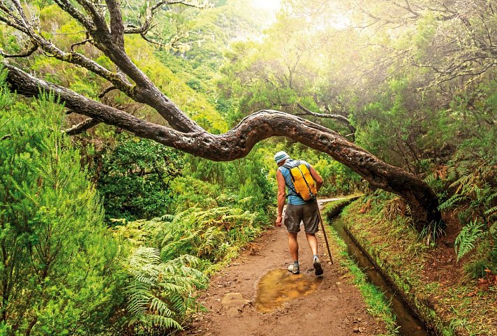 Die besten Seiten von Madeira - Levada-Wanderung