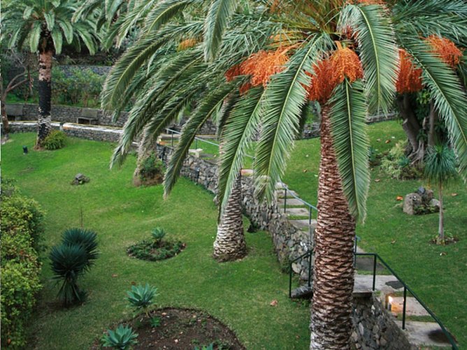 Baía Madeira Hotel